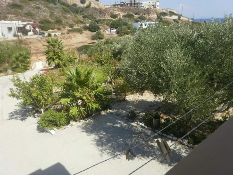 Denise Apartments Кефалос Екстериор снимка